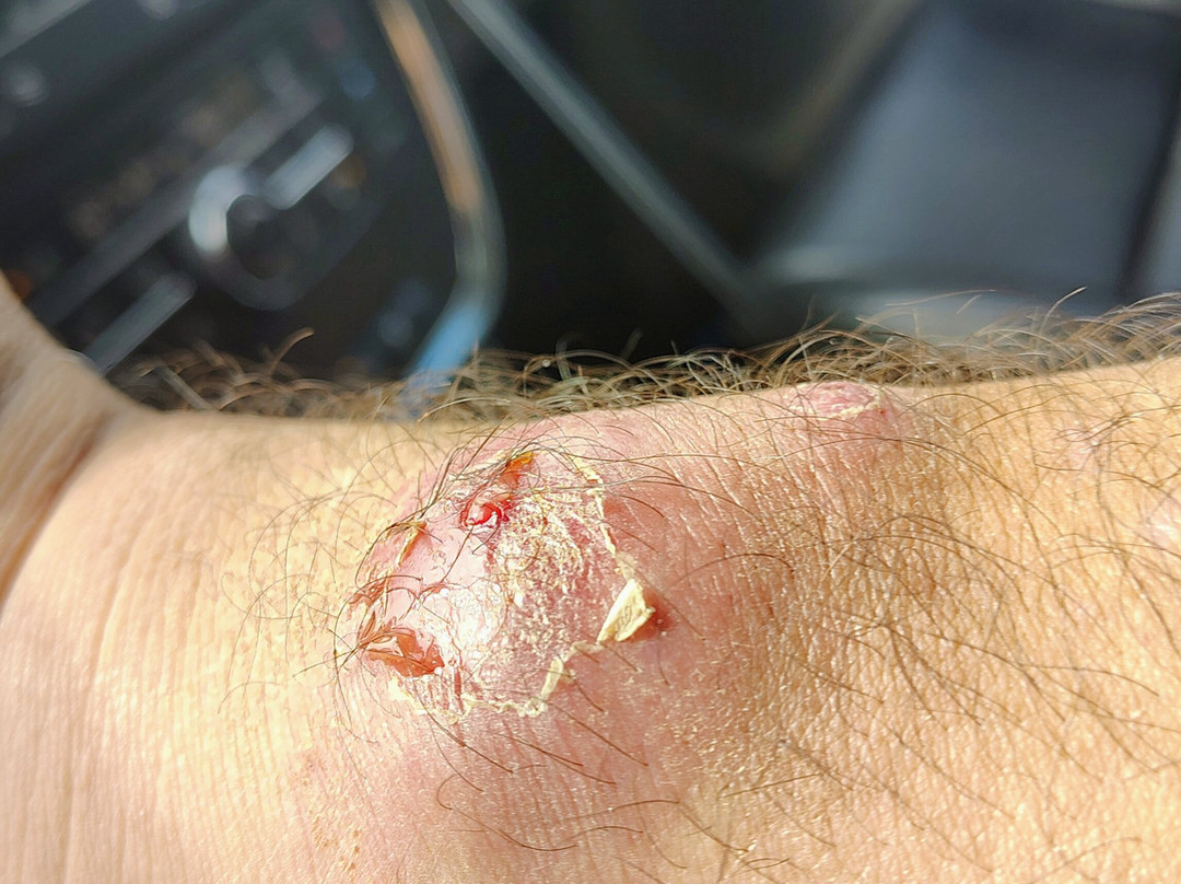 Quality Inn by Choice Hotels Commerce-Ga主图