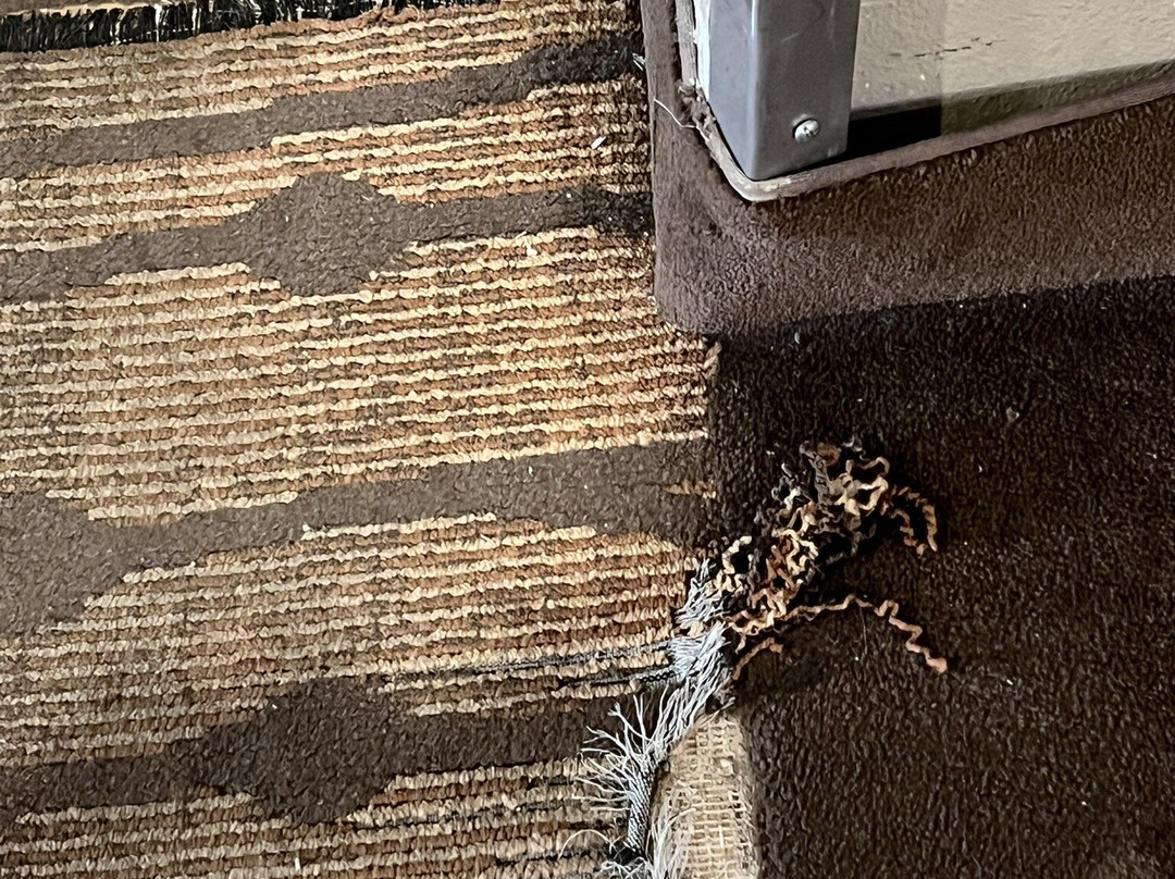 Sleep Inn And Suites Lubbock主图