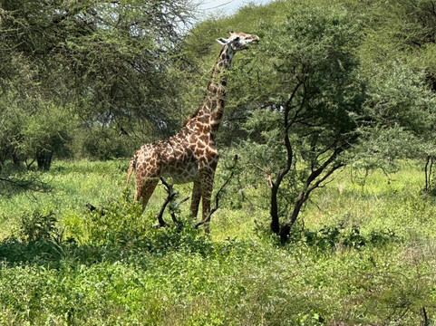 AstazTravel-桑给巴尔市必去景点