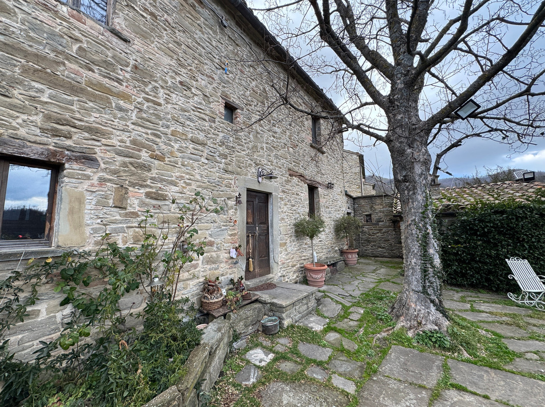 Agriturismo biologico Castello Della Pieve主图