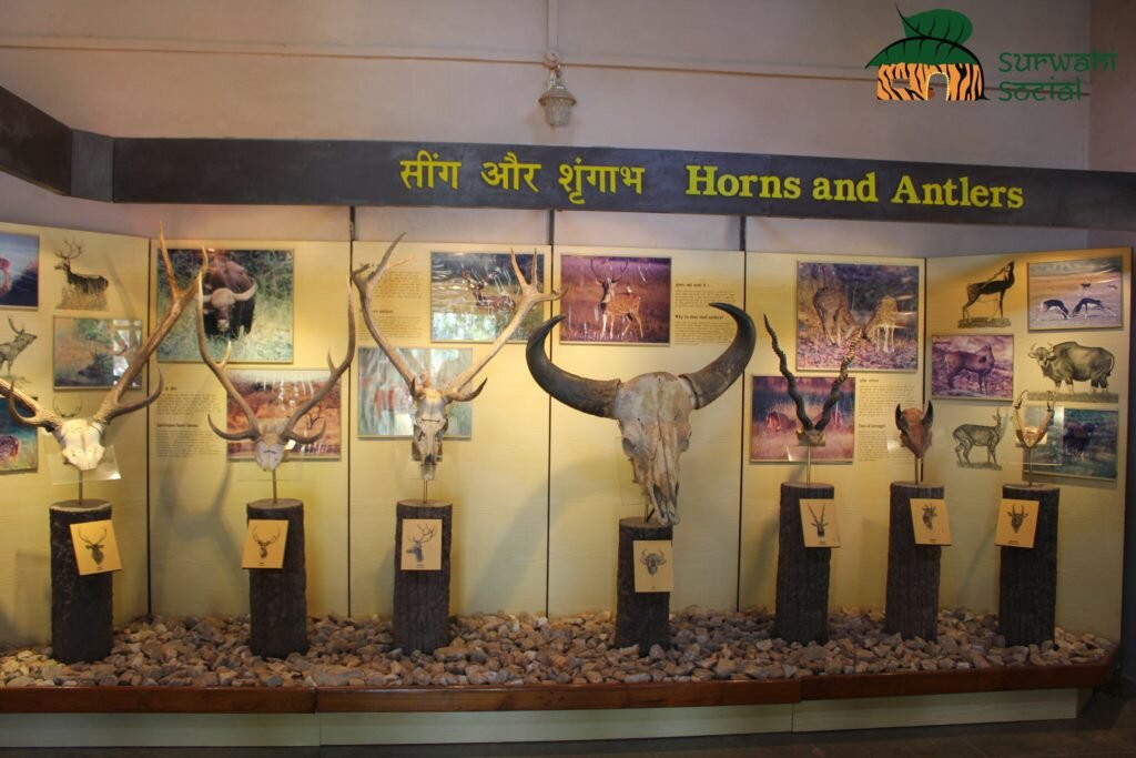 Kanha National Park景点图片