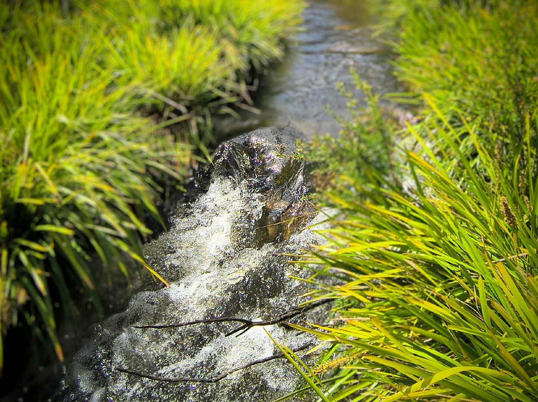Morton National Park景点图片