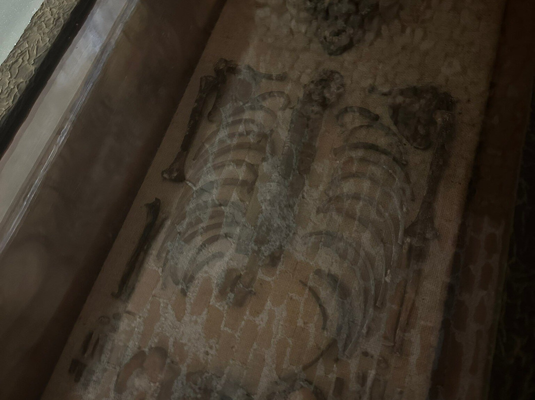 Ossuary at the Church of St James-布尔诺必去景点