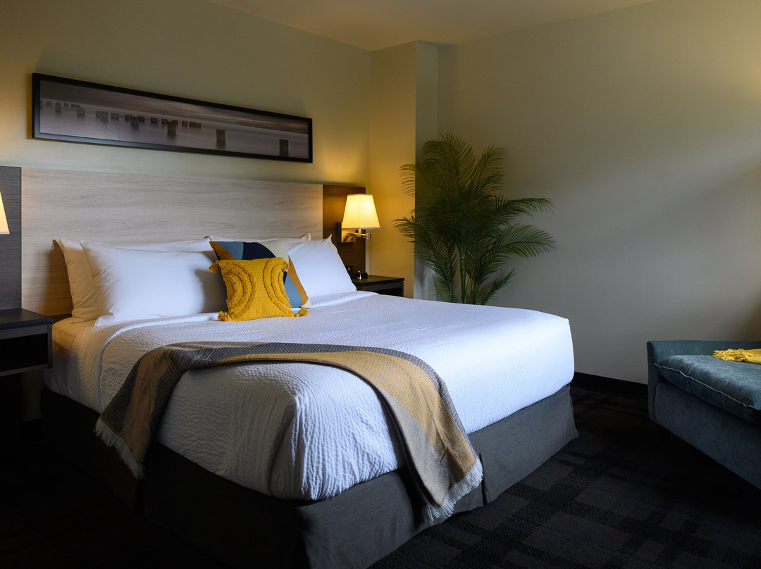 Rodd Miramichi River主图