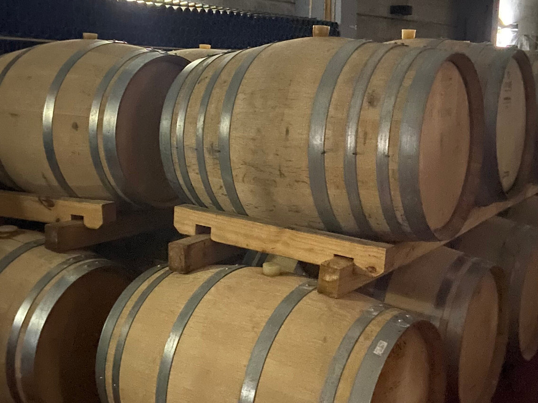 Bodega Jean Rivier-圣拉斐尔必去景点