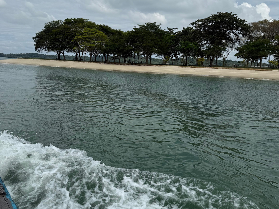 Pulau Ubin Nature and Kampong Walk景点图片