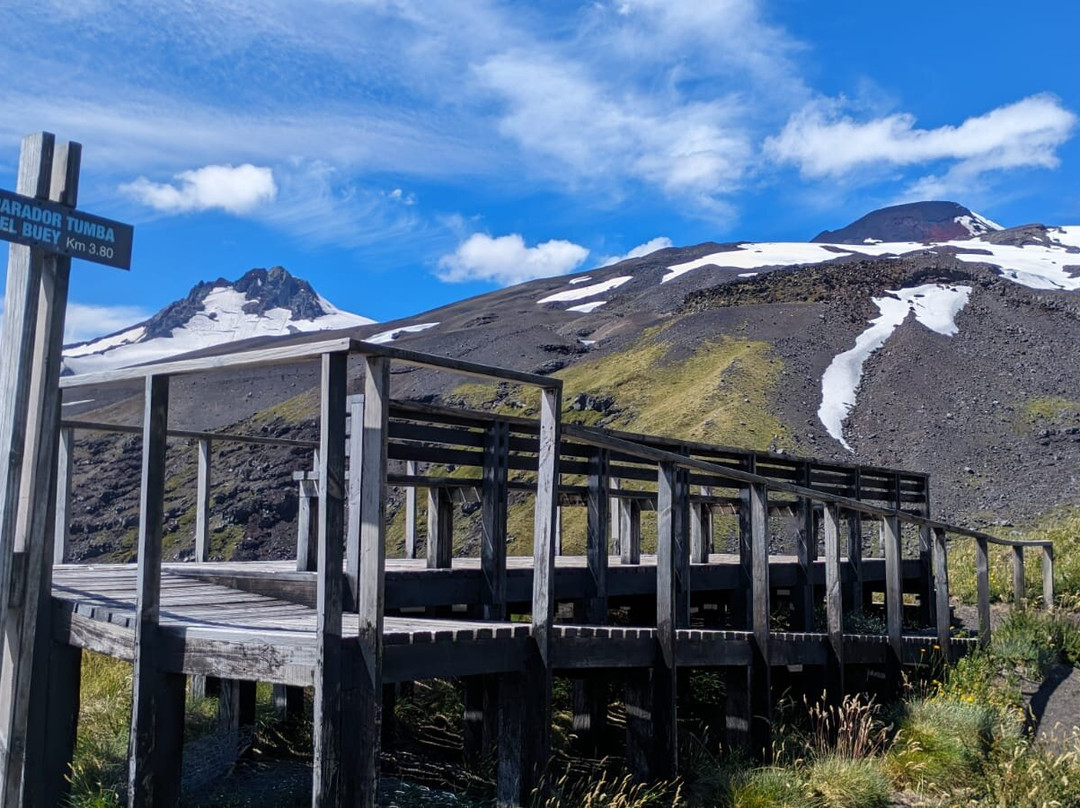 Reserva Nacional Mocho Choshuenco-Choshuenco必去景点