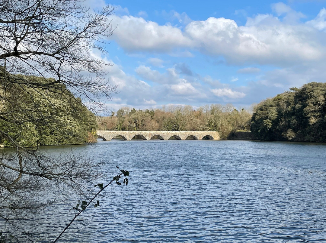Stackpole Quay景点图片