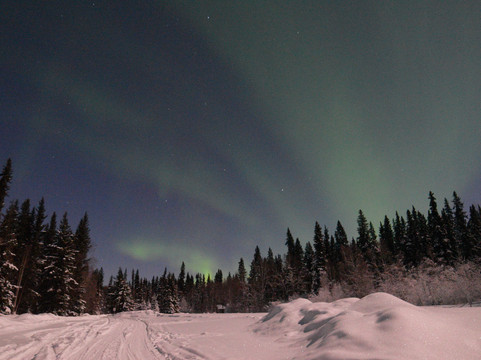 Wandering Alaska Llc-费尔班克斯必去景点