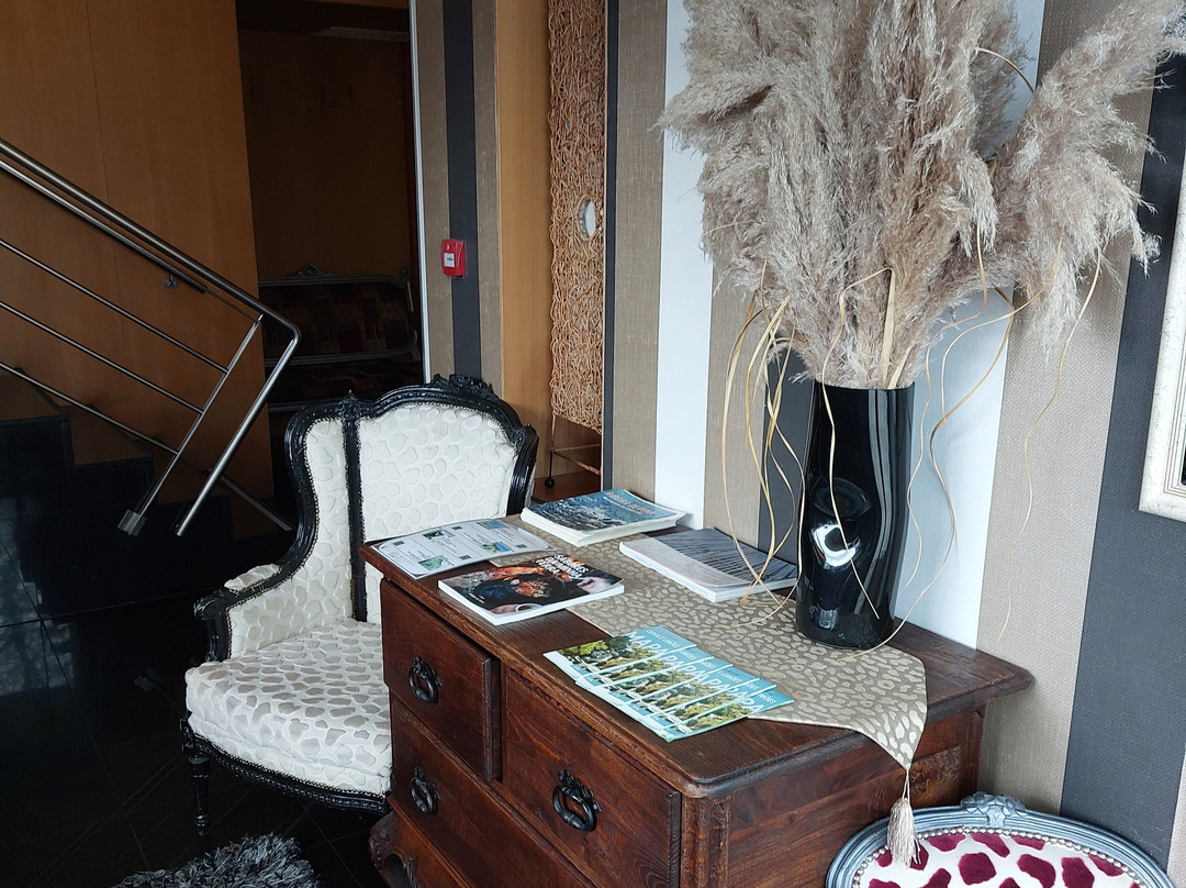 Hotel de Cerva主图