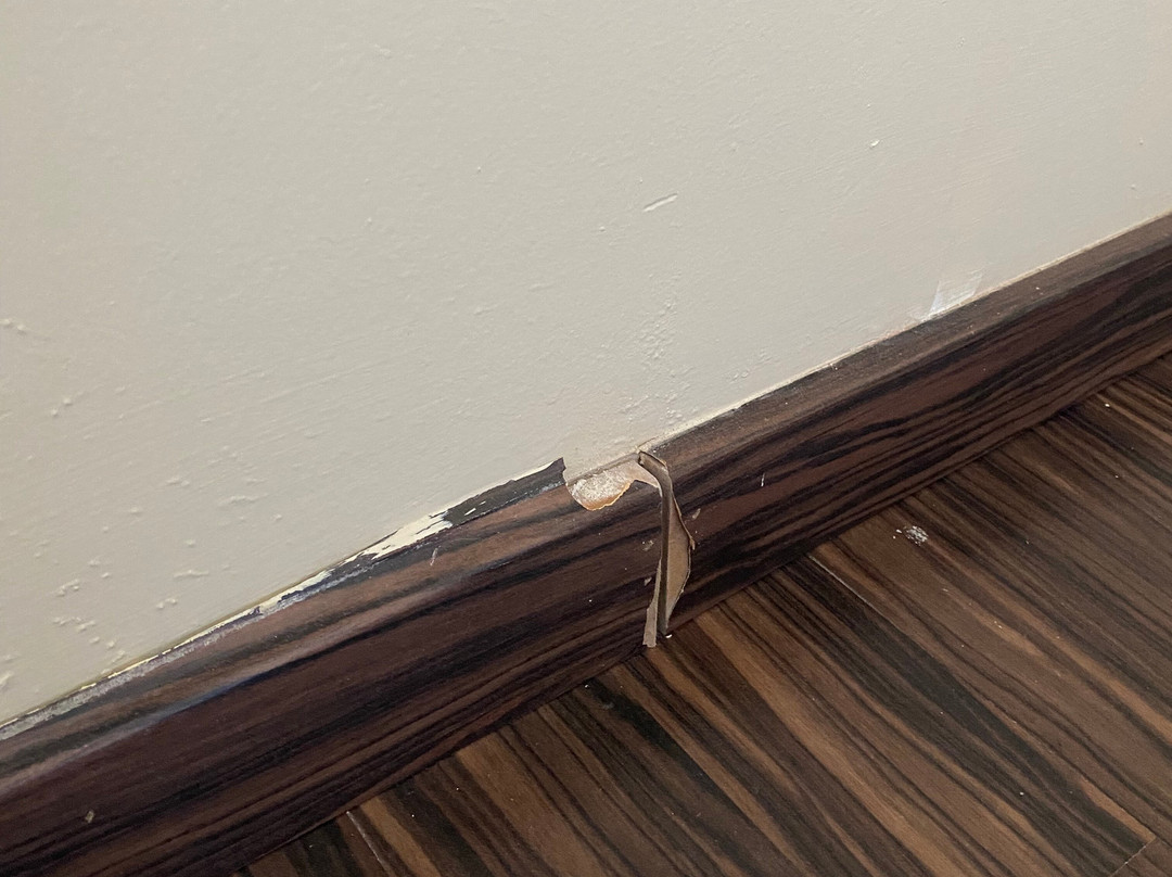 Hotel Balneario de Lanjaron主图