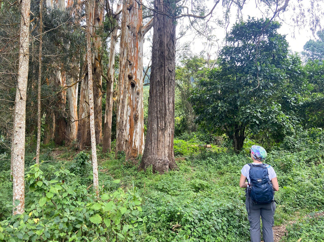 Tanzania Secret Within-坦噶必去景点