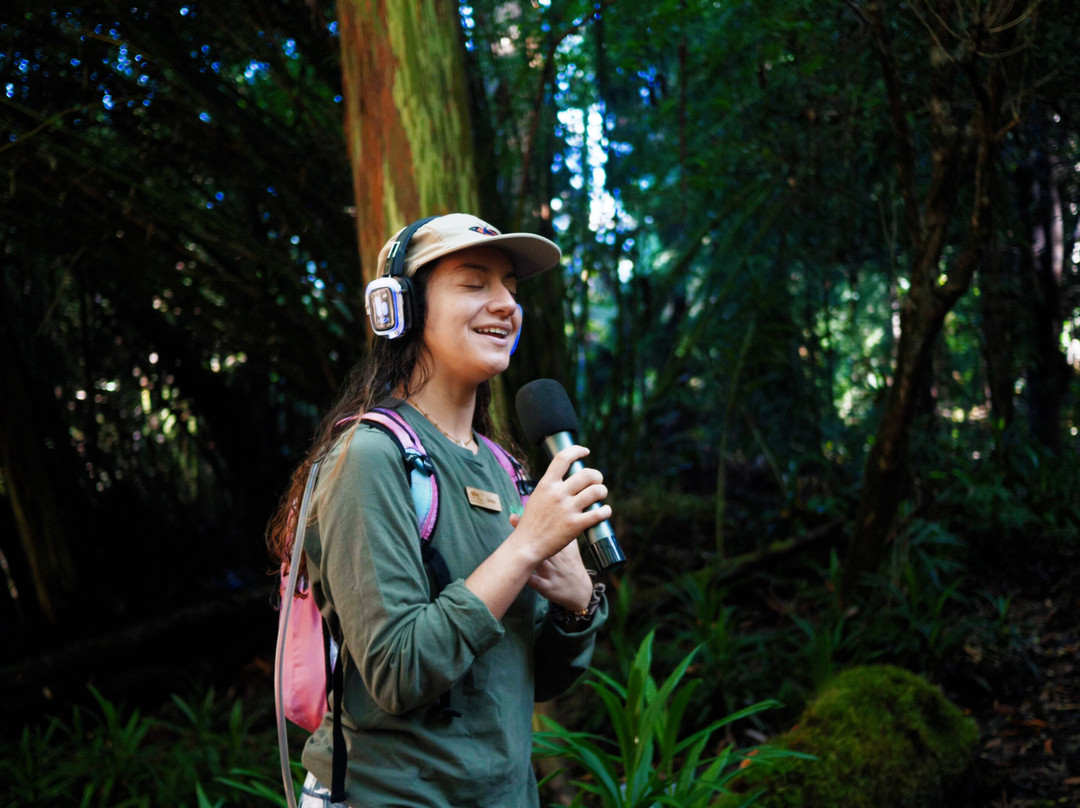 Exploring Within-凯鲁瓦-柯纳必去景点