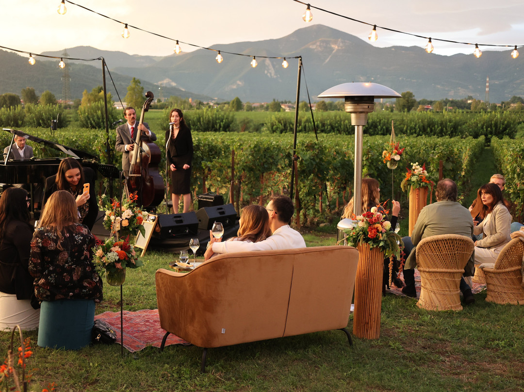 Azienda Agricola Fratelli Berlucchi景点图片