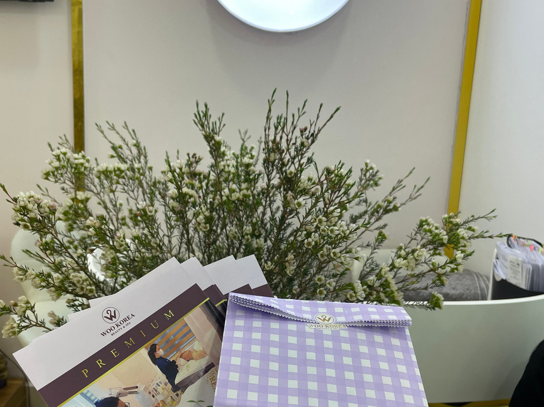 Woo Korea Beauty & Spa-Dong Da必去景点