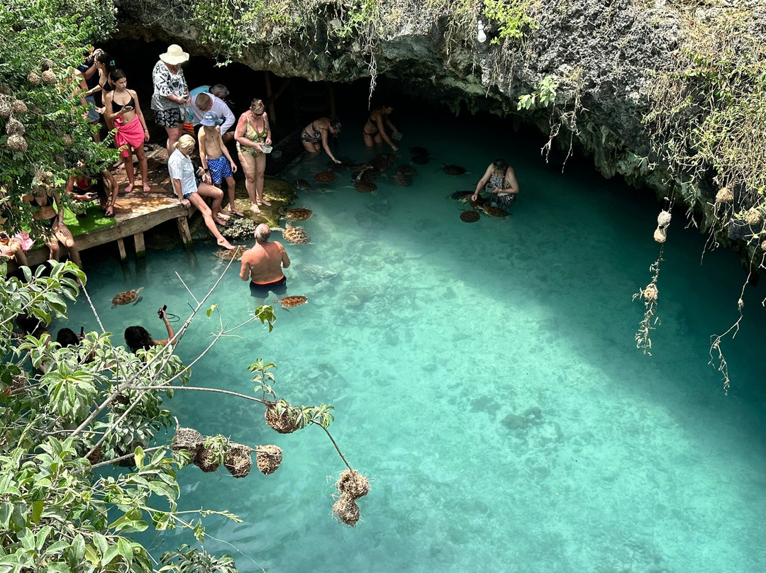 Salaam Cave Aquarium-Kizimkazi Dimbani必去景点