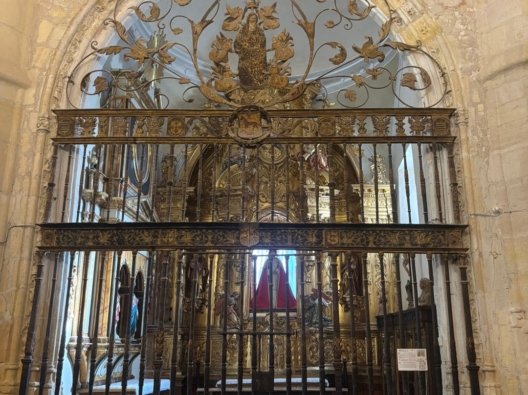 Colegiata de Belmonte景点图片