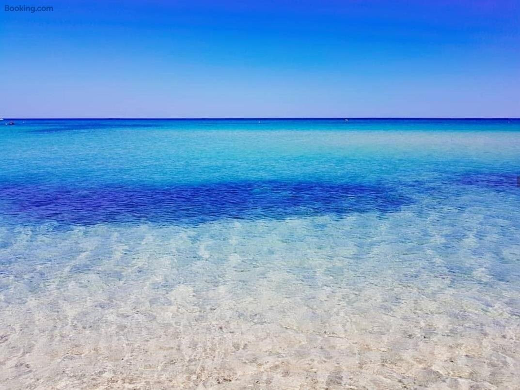 Free Beach Holiday Home