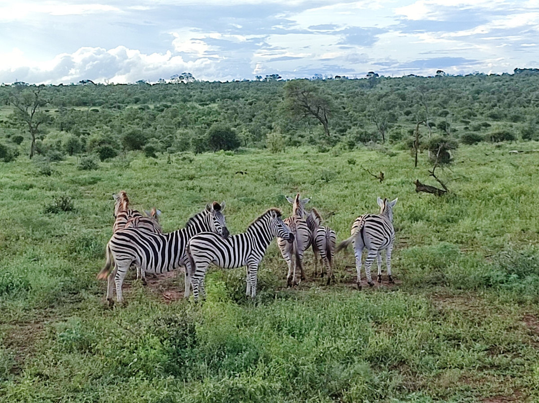 JSL Transport-库马堤港必去景点