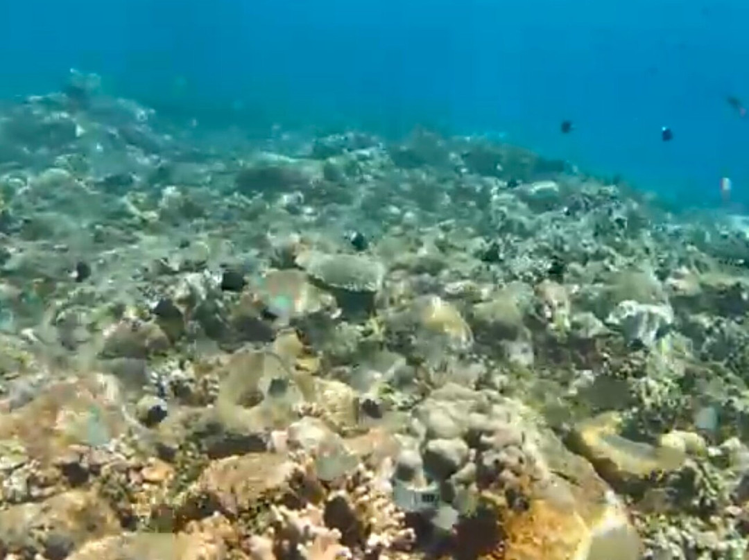 Amed Bali Snorkeling Tour Guide-艾湄湾必去景点