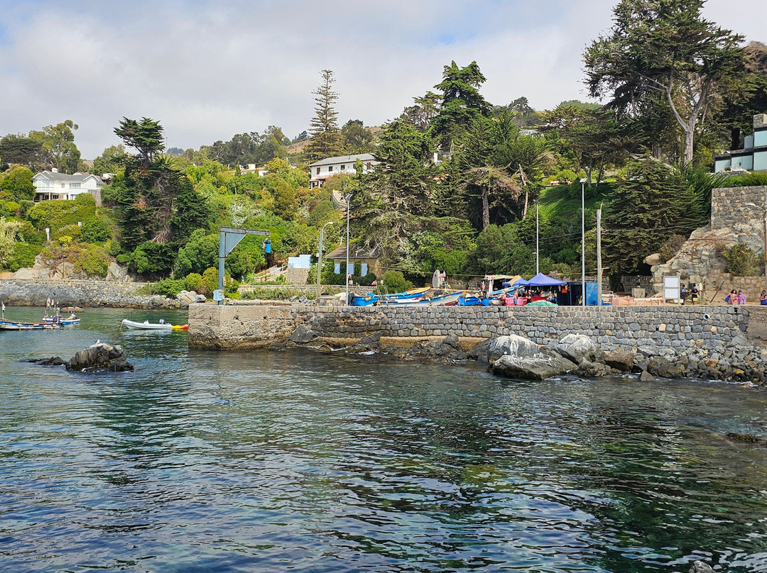 Zapallar Beach-萨帕亚尔必去景点