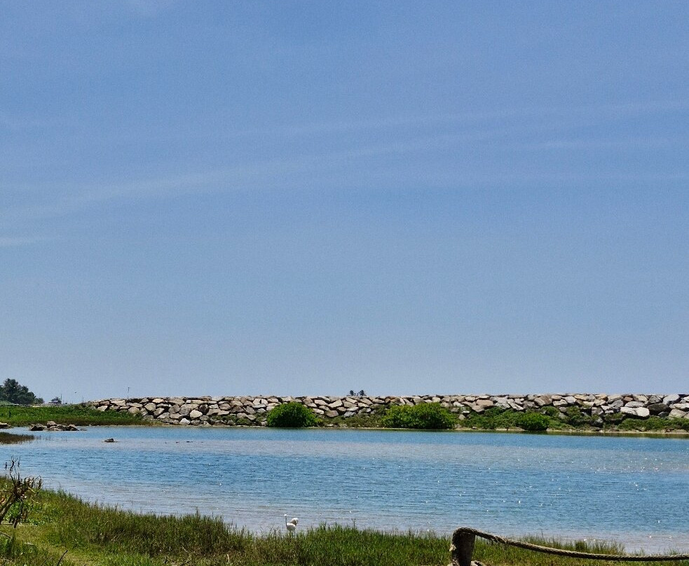 Bluefin Safe Beach-希克杜沃必去景点