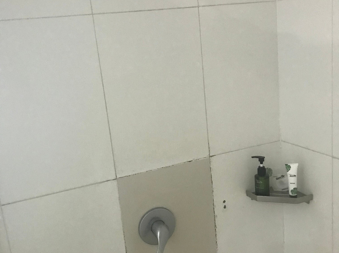 Gazelle International Hotel