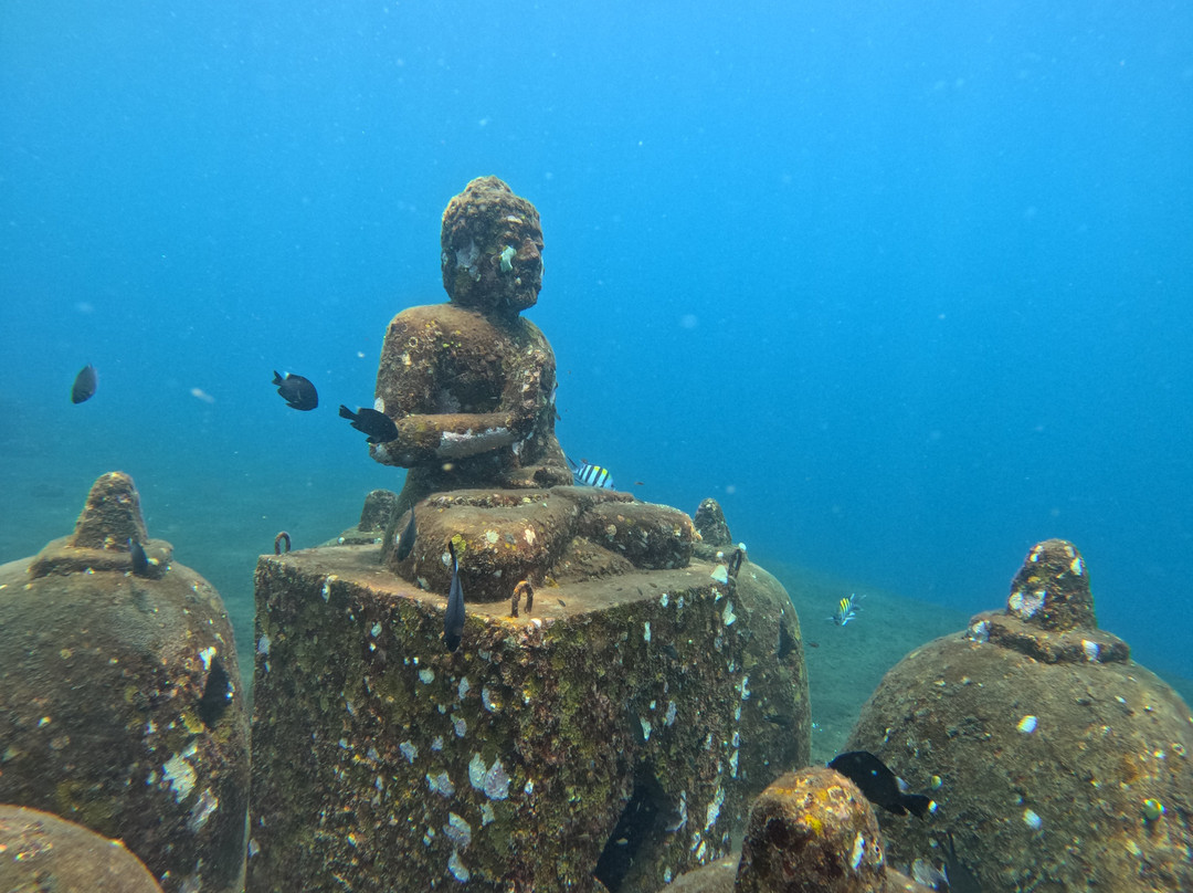 Bali Elite Scuba Team-图兰本必去景点