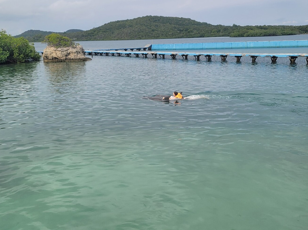 巴伊阿那然朱自然公园-奥尔金必去景点