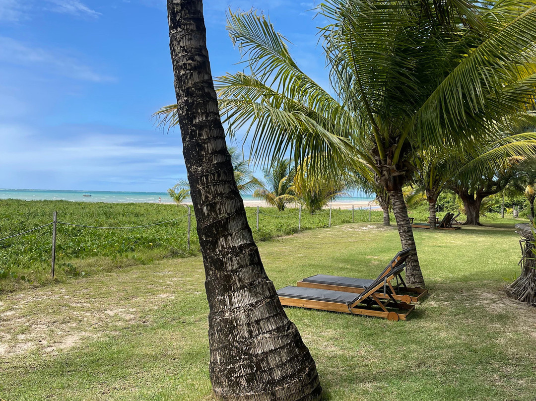 Pousada Cote Sud主图