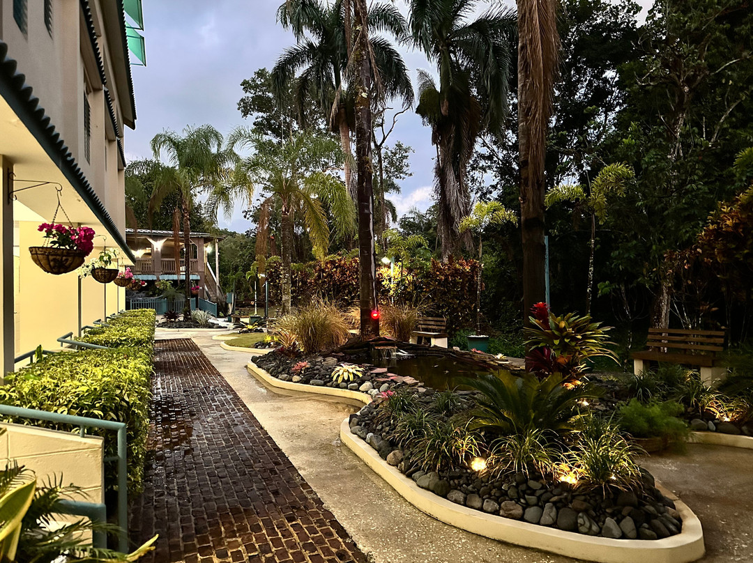 Hotel El Castillo主图