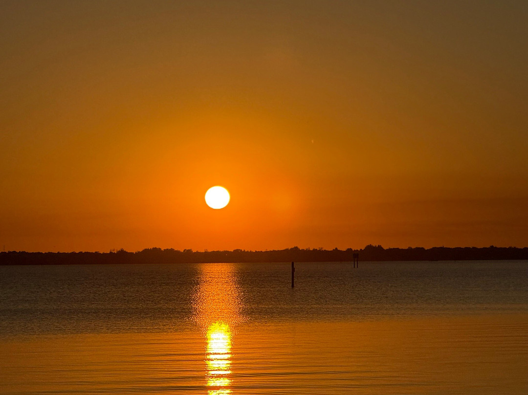 Seashell Suites Resort主图