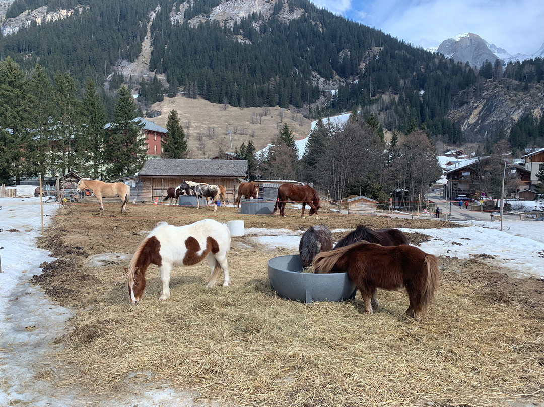 Le Ranch de l'Ancolie-Pralognan-la-Vanoise必去景点
