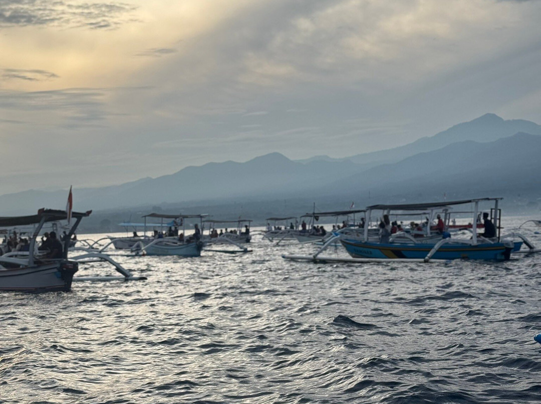 Lovina Dolphin Marine景点图片