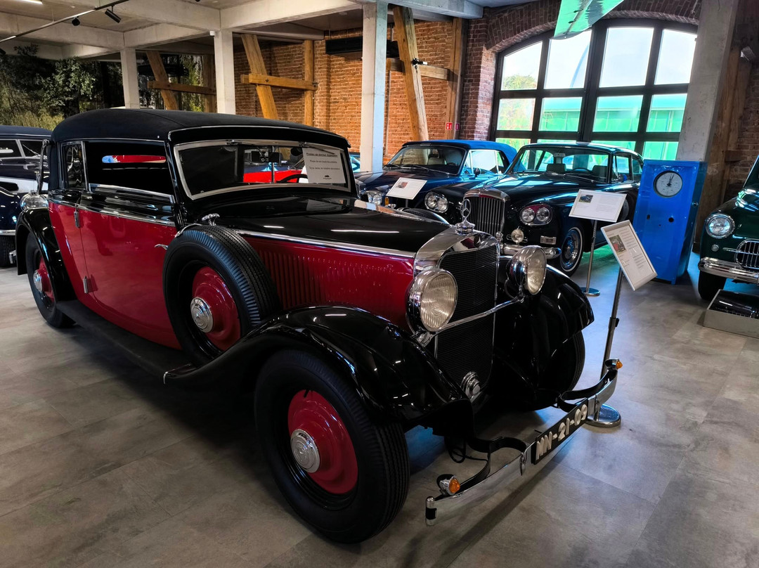 Automobile Museum Topacz景点图片