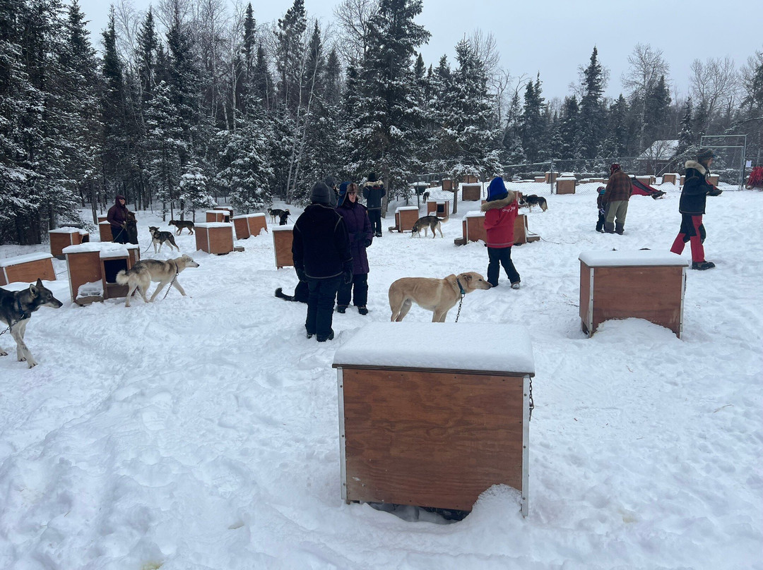 Chilly Dogs Sled Dog Trips-伊利必去景点