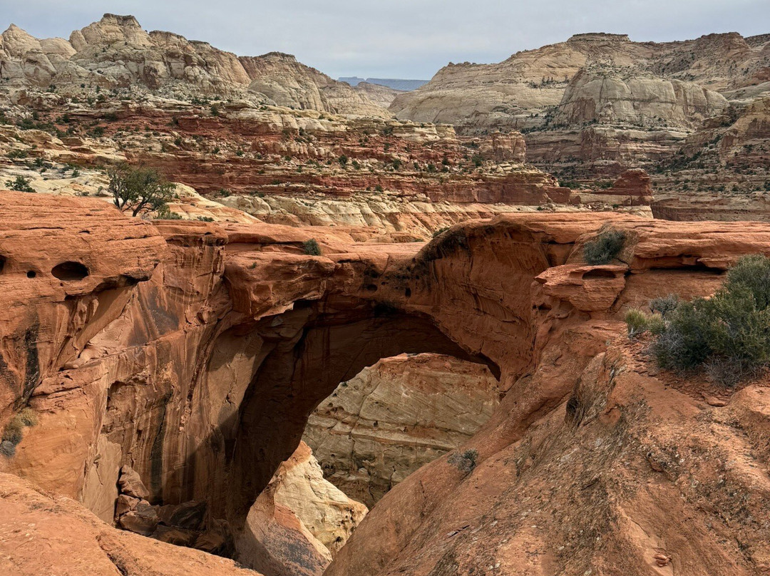 Cassidy Arch-圆顶礁国家公园必去景点