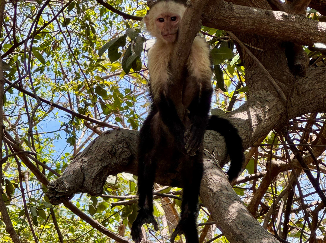 Guanacaste Traveler-Filadelfia必去景点