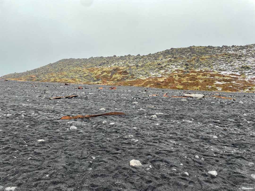 Djupalonssandur Beach-Hellnar必去景点