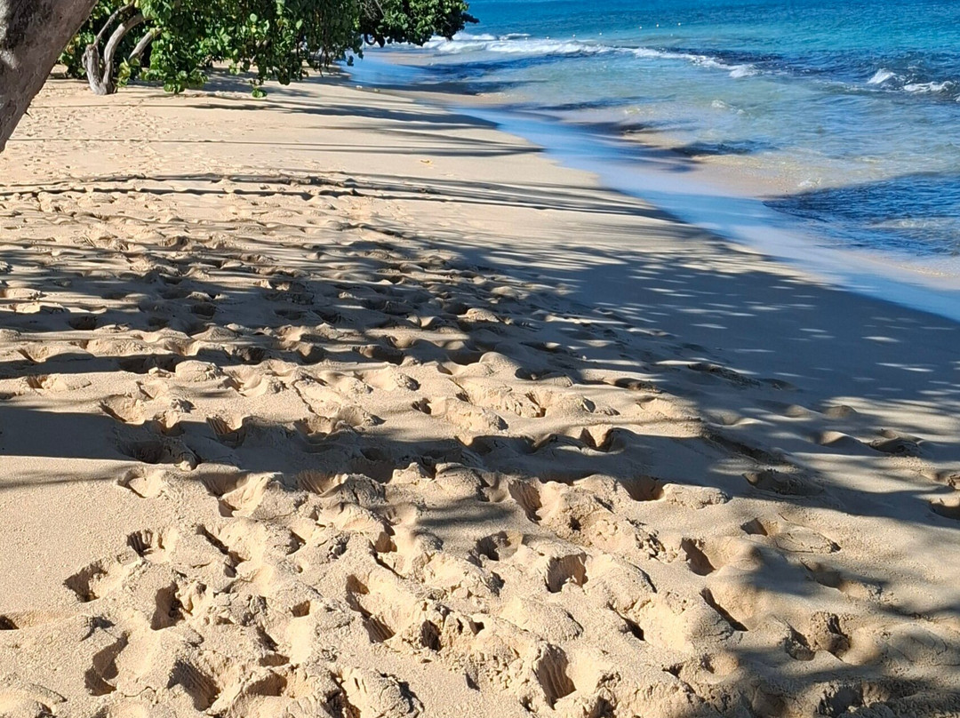 Royalton Grenada Beach景点图片