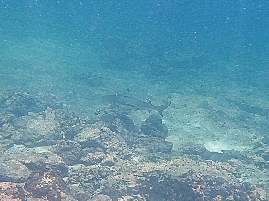 Sunrise Divers-卡伦必去景点