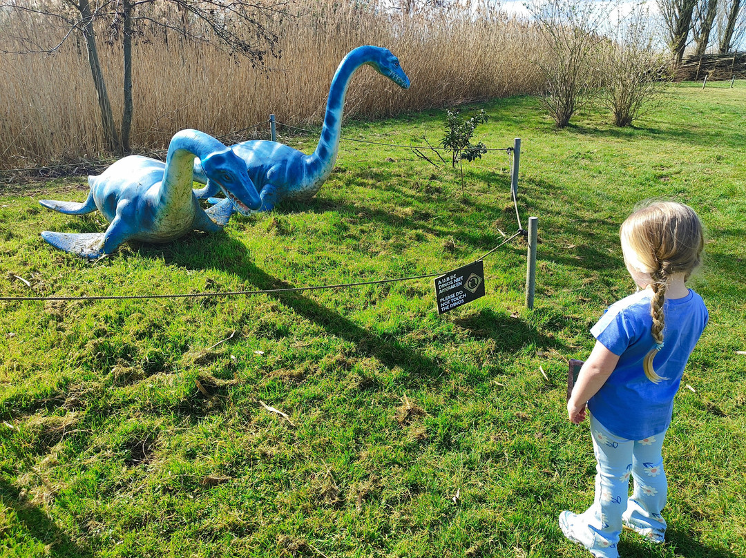 Dino Experience Park-高德必去景点