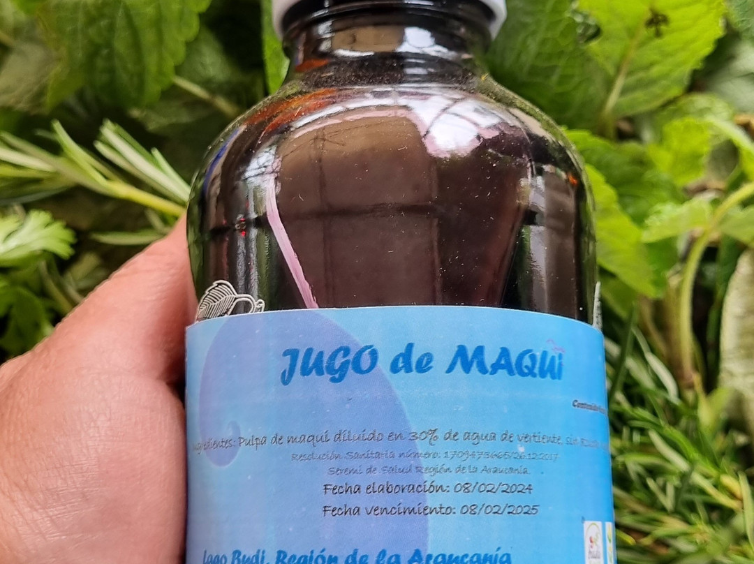 Ecoferia-圣地亚哥必去景点