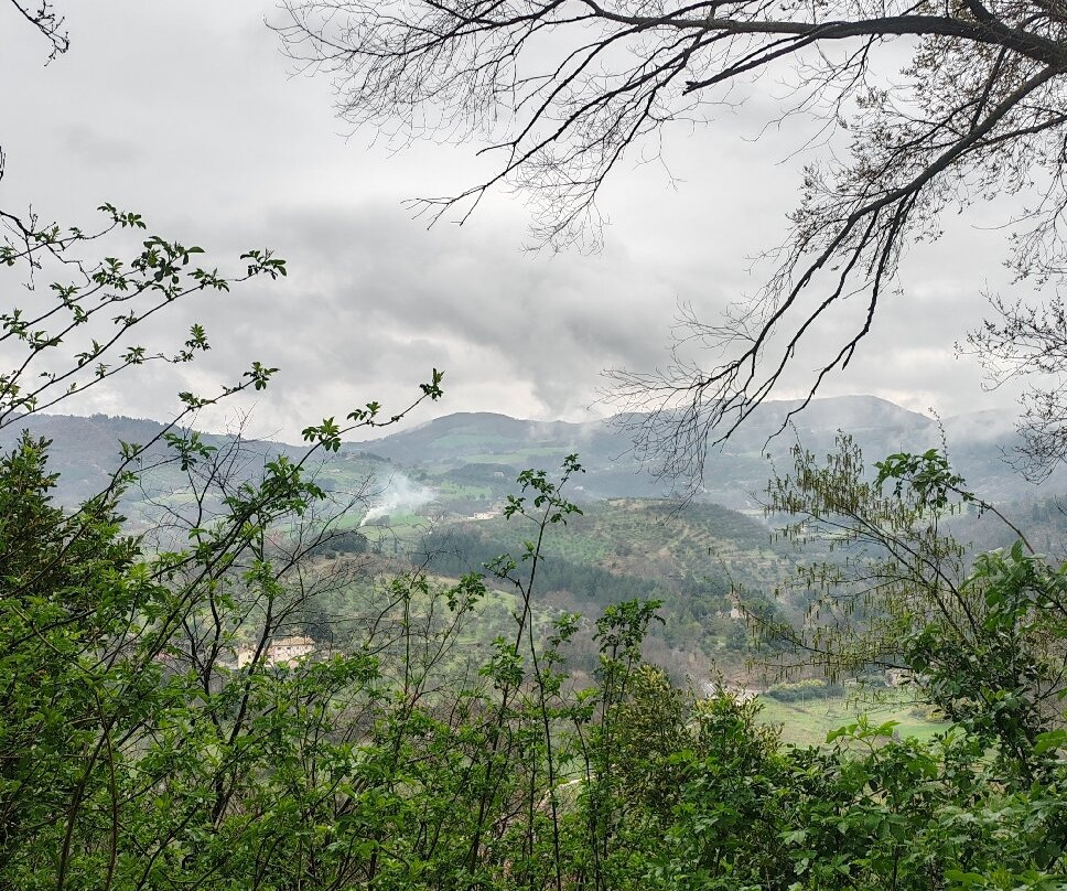 Bosco di San Francesco-阿西西必去景点