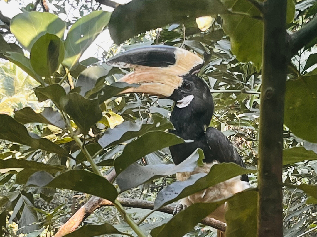 Yoga Chaitanya International Institute-Ranibagh必去景点