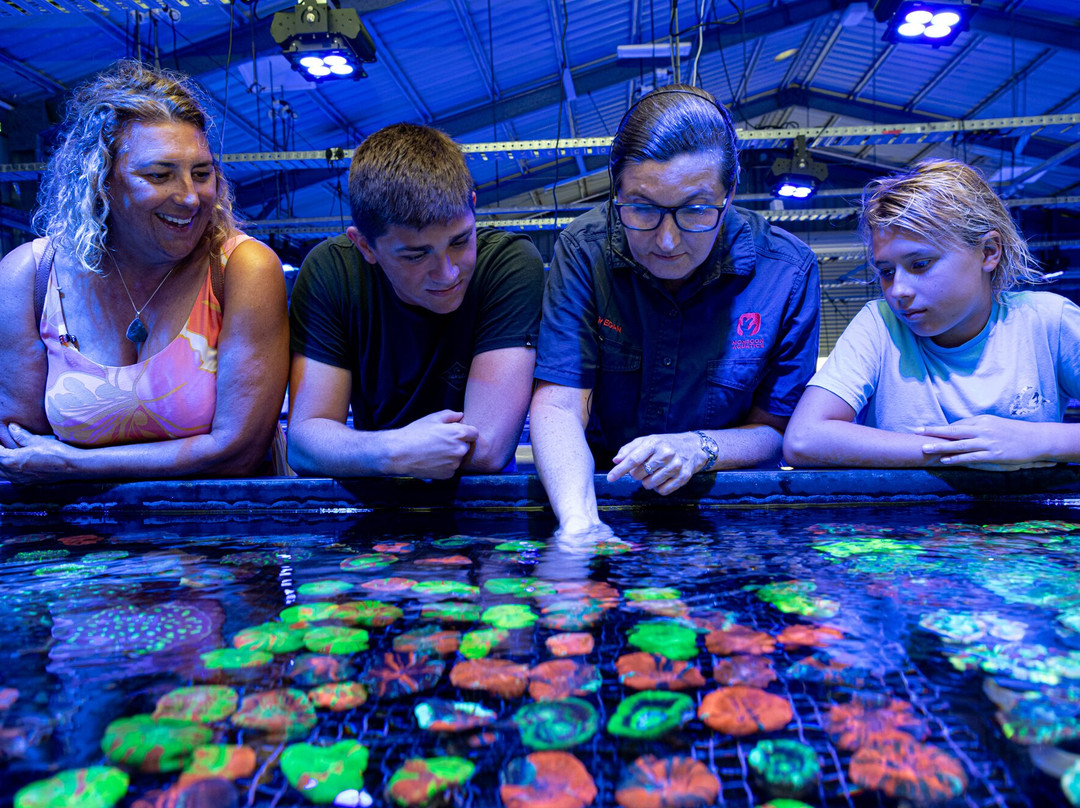 Monsoon Aquatics Coral Farm Tours-Burnett Heads必去景点
