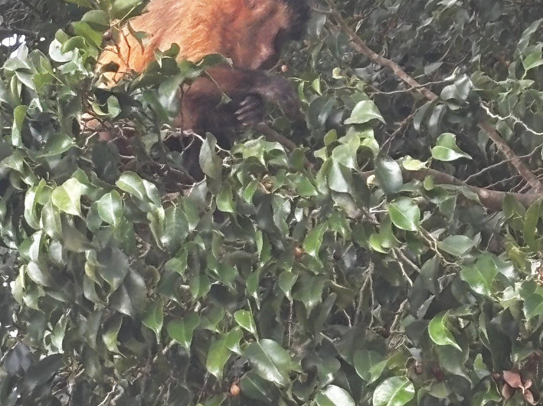 Balneario Municipal-博尼图必去景点