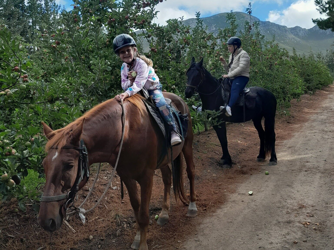 Heaven and Earth Trails-赫曼努斯必去景点