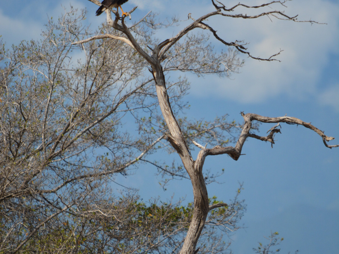 Awatawaa Ecolodge主图