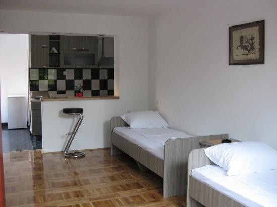 Accommodation Ristic - Spa of Nis主图